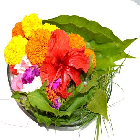 Check spelling or type a new query. Fresh Flowers Online Bangalore : Flower Gift Ideas Online ...