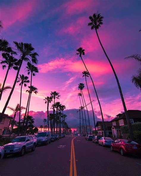 Palms Sunset Pink Sky Miami Florida Cars And Highway Miami Wallpaper