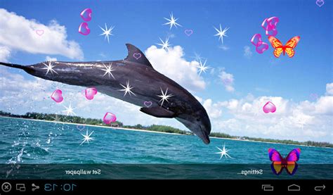 Free 3d Dolphin Live Wallpapers Apk Download For Android Getjar