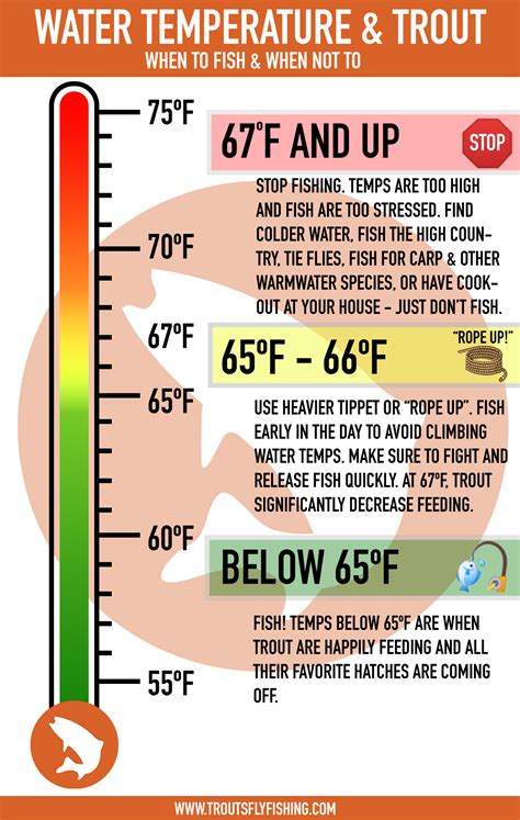 Trout Water Temperatures When To Fish When Trouts Fly Fishing