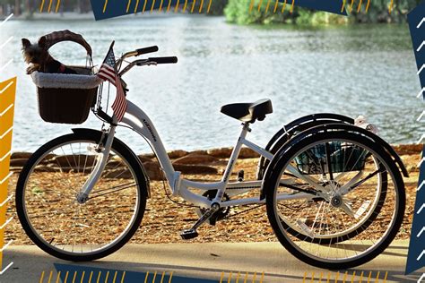 The Best Adult Tricycles Ready For Riding In The Sunshine Spy