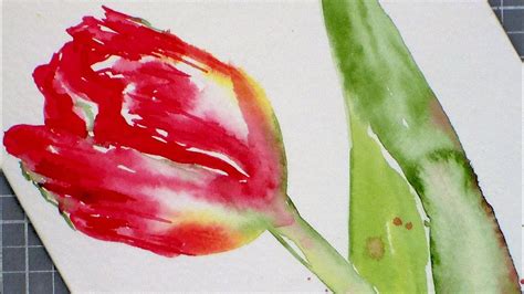 Tulip Watercolor Painting Tutorial For Beginners Youtube