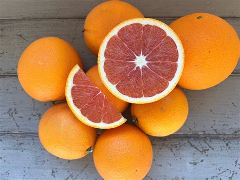 Organic Cara Cara Oranges — Fairview Orchards