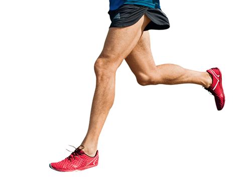 Sport Legs Png Image Leg Png Transparent Image Download Size 599x474px