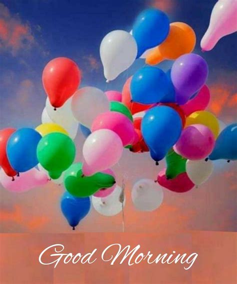 Pin By Shanmugam Srinivas On Morning Wishes Good Morning Flowers