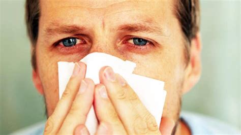 Flu Symptoms And Prevention What You Need To Know Latest News Videos