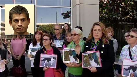San Jose Residents Speak Out About Accused Cat Killer