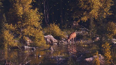 Download Wallpaper 1366x768 Deer Forest Art River
