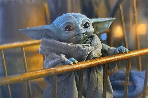 Account Suspended Star Wars Yoda Star Wars Memes Star Wars Fandom