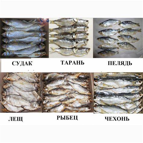 Рыба вяленая и диета Рыба вяленая, рыба сушеная, сушеные морепродукты, мясо, весовые снеки Рыба вяленая, рыба сушеная, сушеные морепродукты, мясо, весовые снеки Рыба вяленая и диета