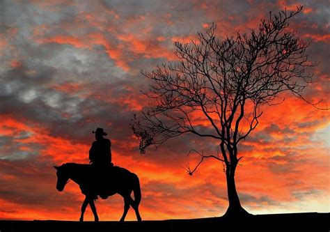 Cowboy Sunset Photograph By Kafra Art Pixels