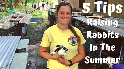 5 Easy Ways To Keep Your Rabbits Cool In The Summer Heat Youtube