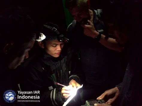 Mengembangkan Kapasitas Tim Yiari Survei Populasi Kukang Kalimantan Di
