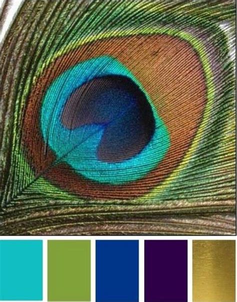 The trouble is there are so many variations of the color. Color Palette | Peacock color scheme, Color palette, Peacock colors