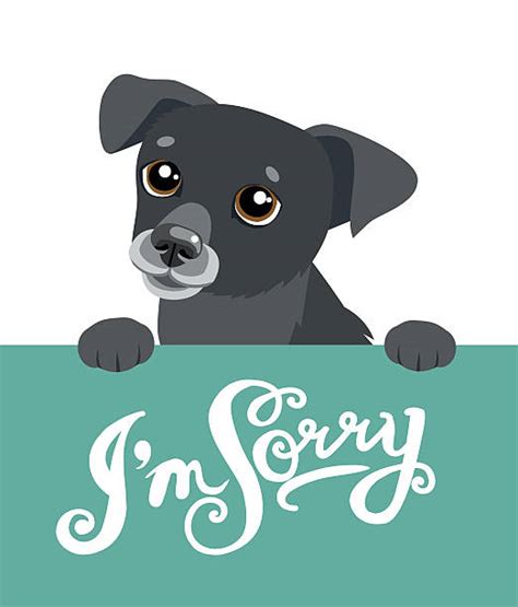 Sad Dog Illustrations Royalty Free Vector Graphics And Clip Art Istock
