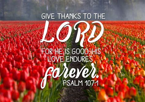 Psalm 1071 Give Thanks To The Lord Canvas Wall Art Print