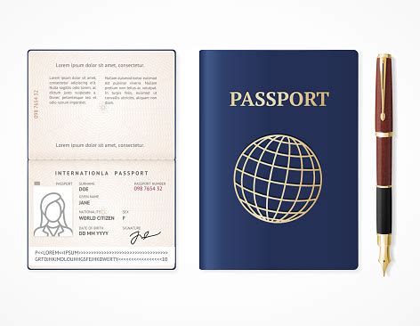 realistic detailed  international passport blank vector stock illustration  image