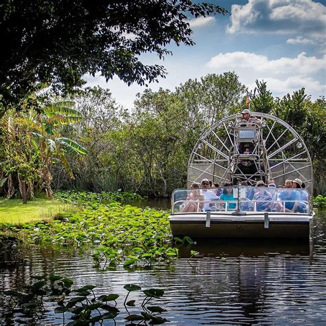 Everglades Safari Park Miami Ce Quil Faut Savoir