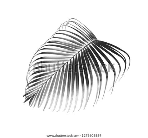 Black Palm Leaf Isolated On White Stock Photo 1276608889 Shutterstock