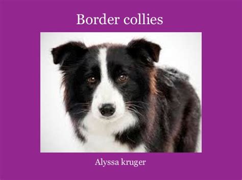 Border Collies Free Books And Childrens Stories Online Storyjumper