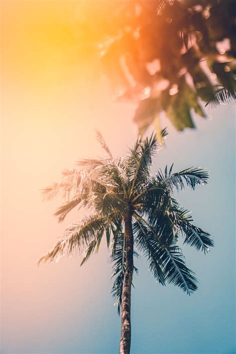 Aesthetic Summer Iphone Wallpapers Wallpaper Cave