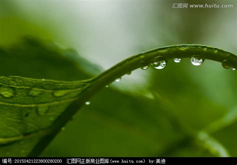 The site owner hides the web page description. 谷雨_正版商业图片_昵图网nipic.com