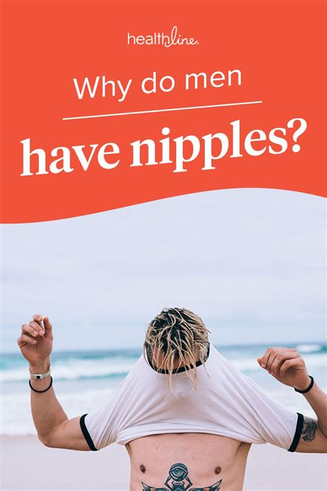 Why Do Men Have Nipples FAQs About Lactation Pain And More