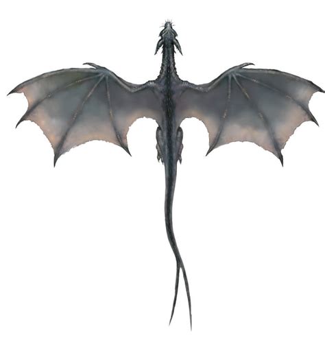 Download Eragon Smaug Wing Dragon Free Transparent Image Hq Hq Png