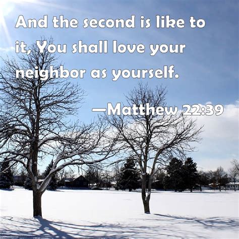 Matthew 2239 And The Second Is Like To It You Shall Love Your