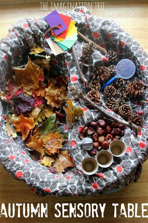 Create An Autumn Sensory Table Using Natural Materials For Kids To