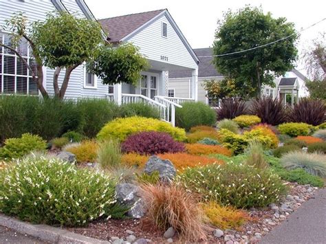100 Ideas To Try About Grassless No Mow Yards Landscaping Front
