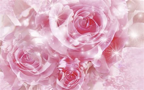 Pretty Pink Rose Wallpaper Colors Wallpaper 34511658 Fanpop