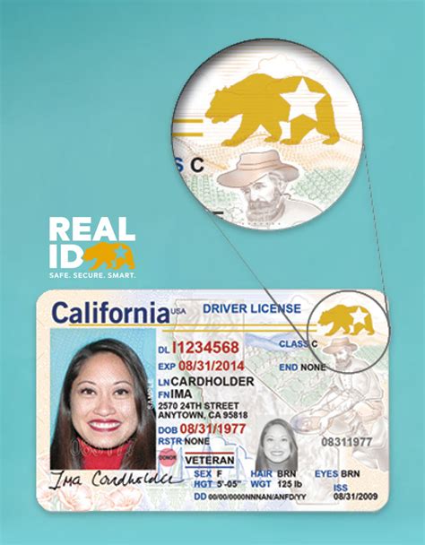 We did not find results for: Procedures of Real ID - Hitchswitch-Blog
