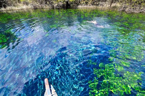 Viaje A Cráter Azul En Sayaxché Petén Febrero 2017