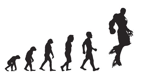Evolution Of Man Silhouette At Getdrawings Free Download