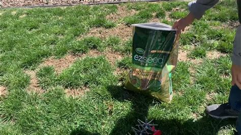 How to keep your grass green and healthy - YouTube