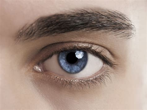 Eyes Reveal Sexual Orientation Pupils And Attraction Live Science