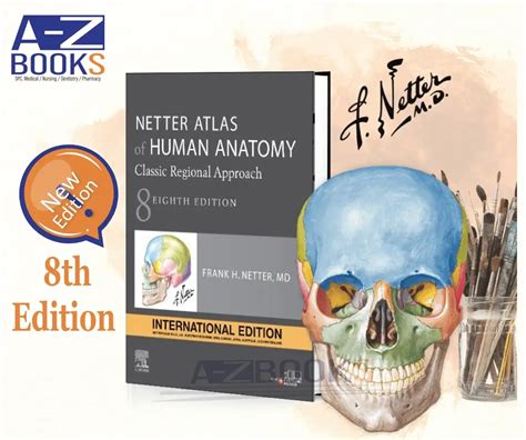 Netter Atlas Of Human Anatomy A Systems Approach Paperback Ebook By