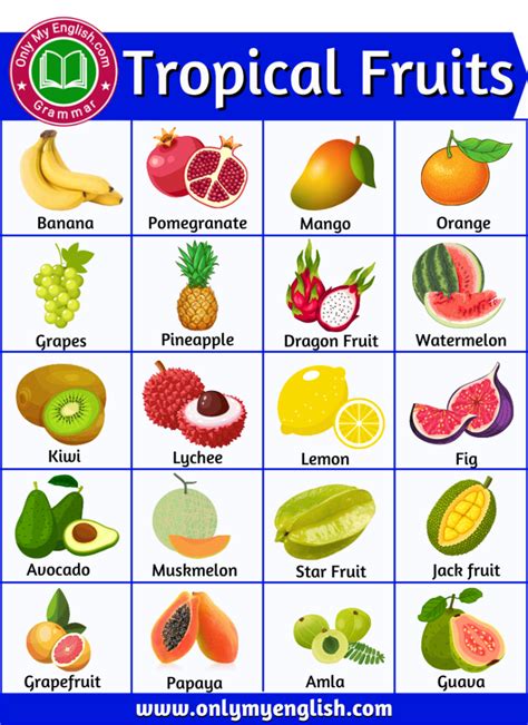 40 List Of Tropical Fruits Name With Pictures