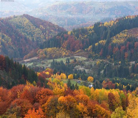 Golden Autumn On Sokilsky Ridge In The Carpathians · Ukraine Travel Blog