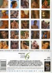Fire Island Cruising 6 Gay DVD Lucas Entertainment Michael Lucas