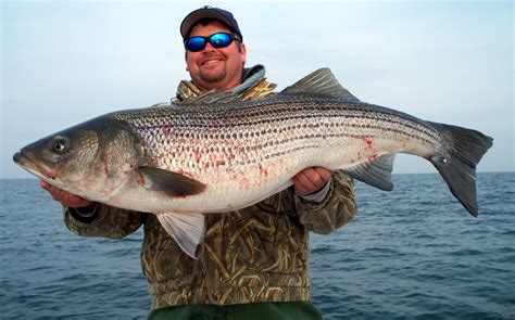 Top Water Charters Fishing Reports And News Beaufort Morehead City