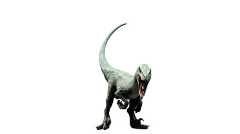 Jurassic World Delta Raptor By Camo Flauge On Deviantart