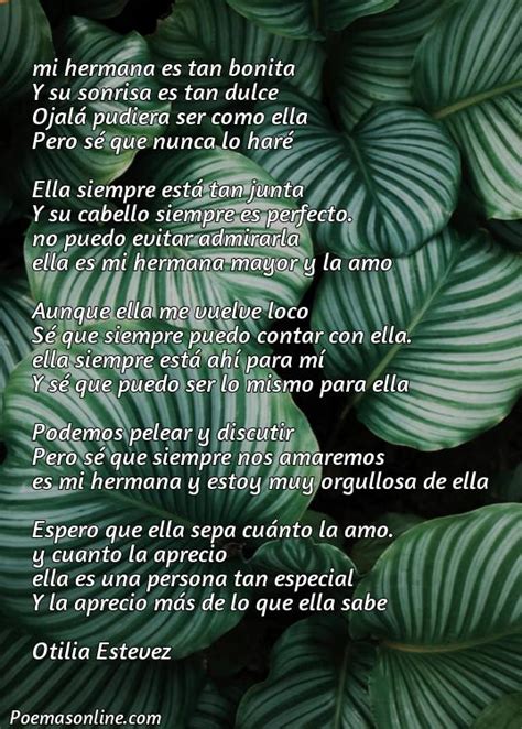 Cinco Poemas Bonitos Para Una Hermana Poemas Online