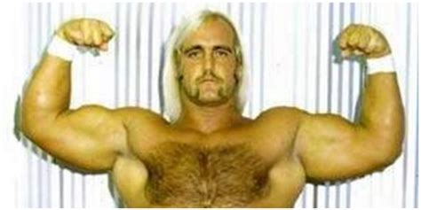 10 Things You Should Know About Hulk Hogan S Wrestling Career In The 1970s