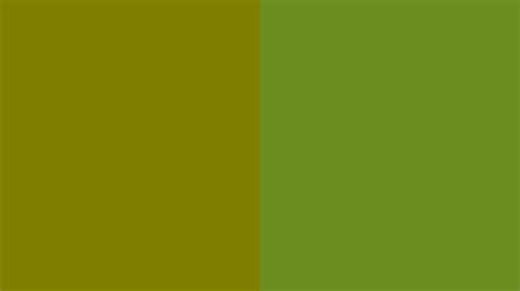 🔥 42 Olive Green Desktop Wallpaper Wallpapersafari