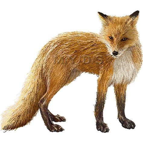 Red Fox Clipart Clip Art Library