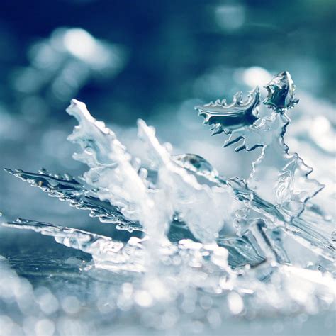 Ice Crystals By Leavylaulada On Deviantart