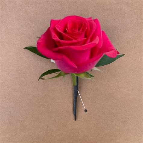 Single Hot Pink Rose Boutonniere In Peabody Ma Evans Flowers