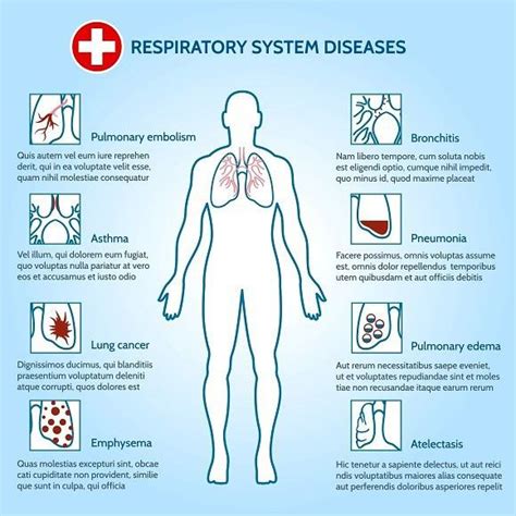 Respiratory System Diseases Respiratory System Respiratory Disease
